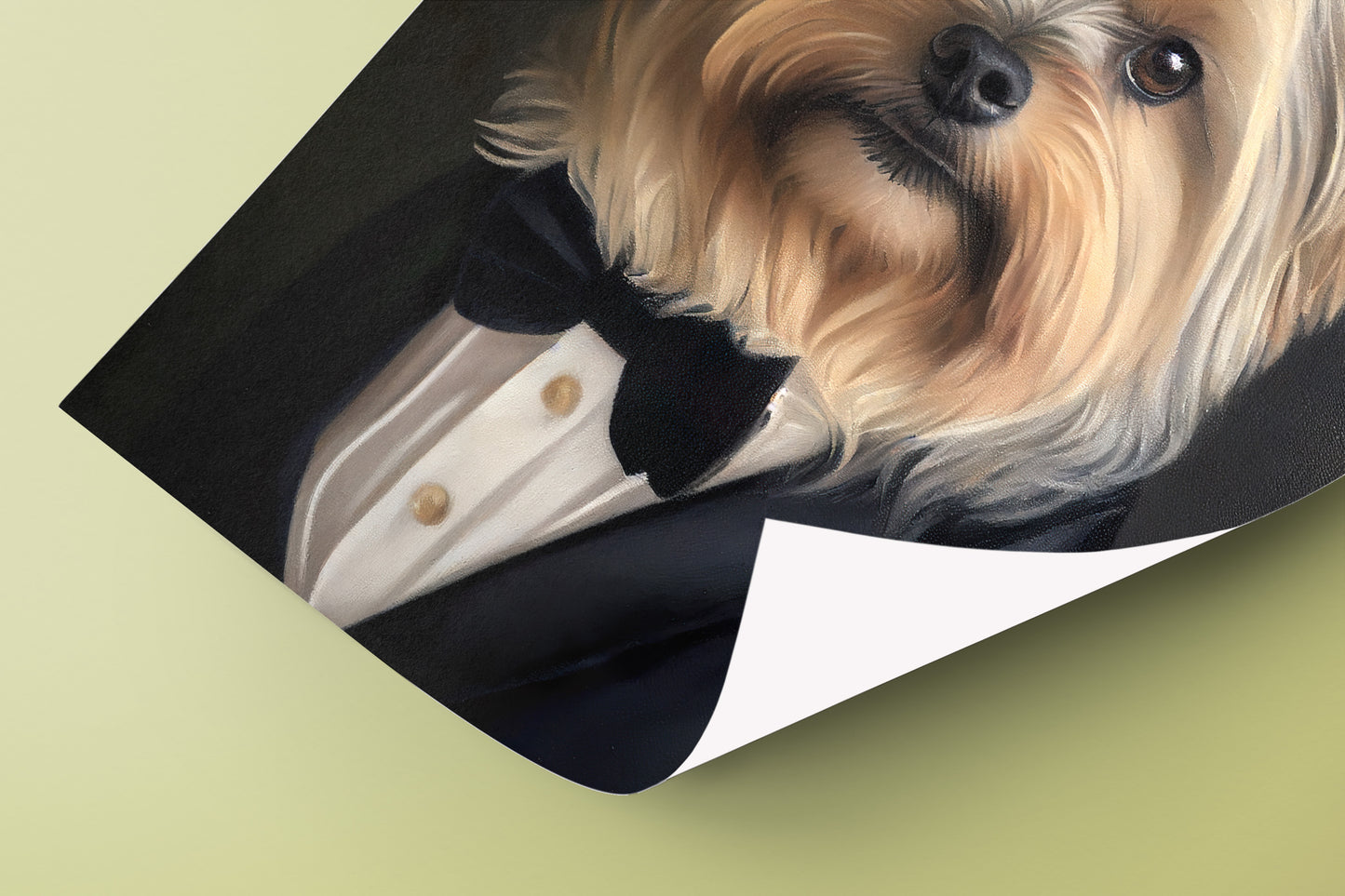 Yorkshire Terrier Tuxedo Poster - Stylish Animal Wall Décor | Frame-Ready Yorkshire Portrait Art